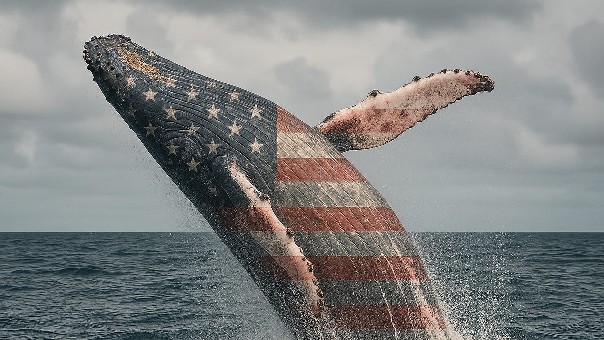The American DeepSeek Project