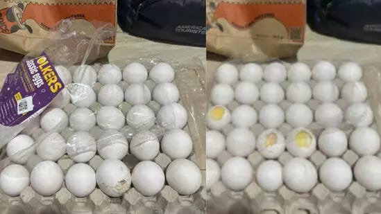 (Image Credit: @kapilansh_twt/X)