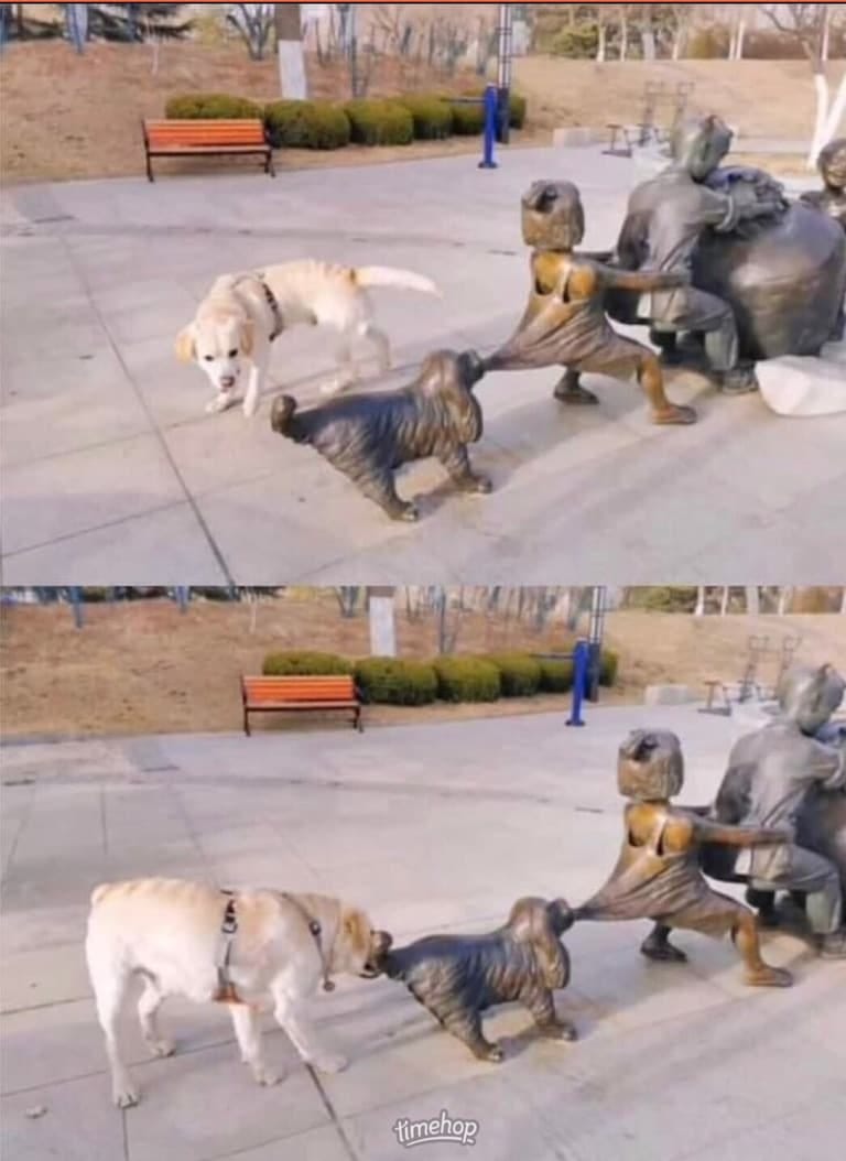 Dogs always willing to help ❤️❤️❤️