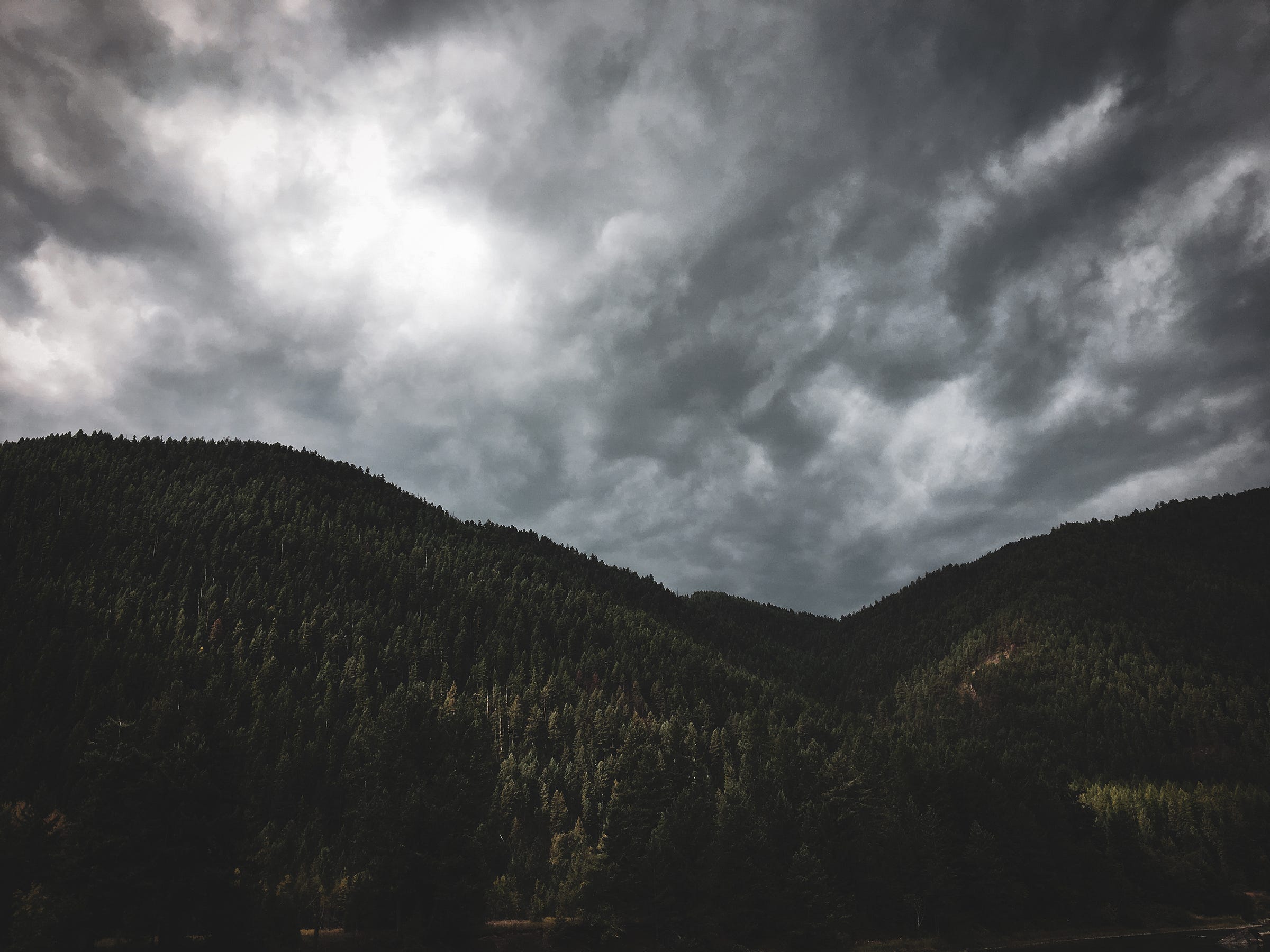 Dark forest ridge by the side of a lake in Montana.