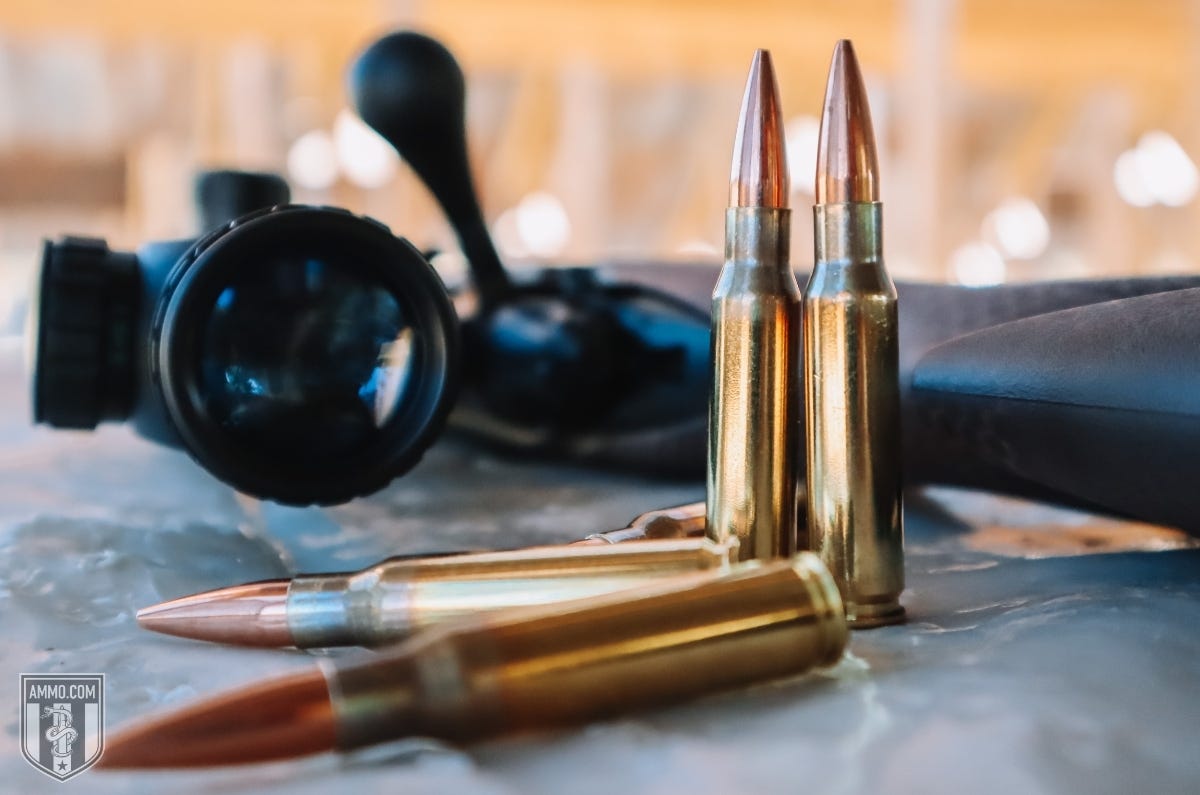 308 Winchester ammo for sale