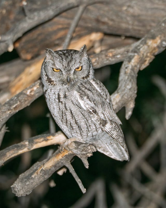 20260401-mby-6-Edit.jpg 20260401-mby-6-Edit.jpg