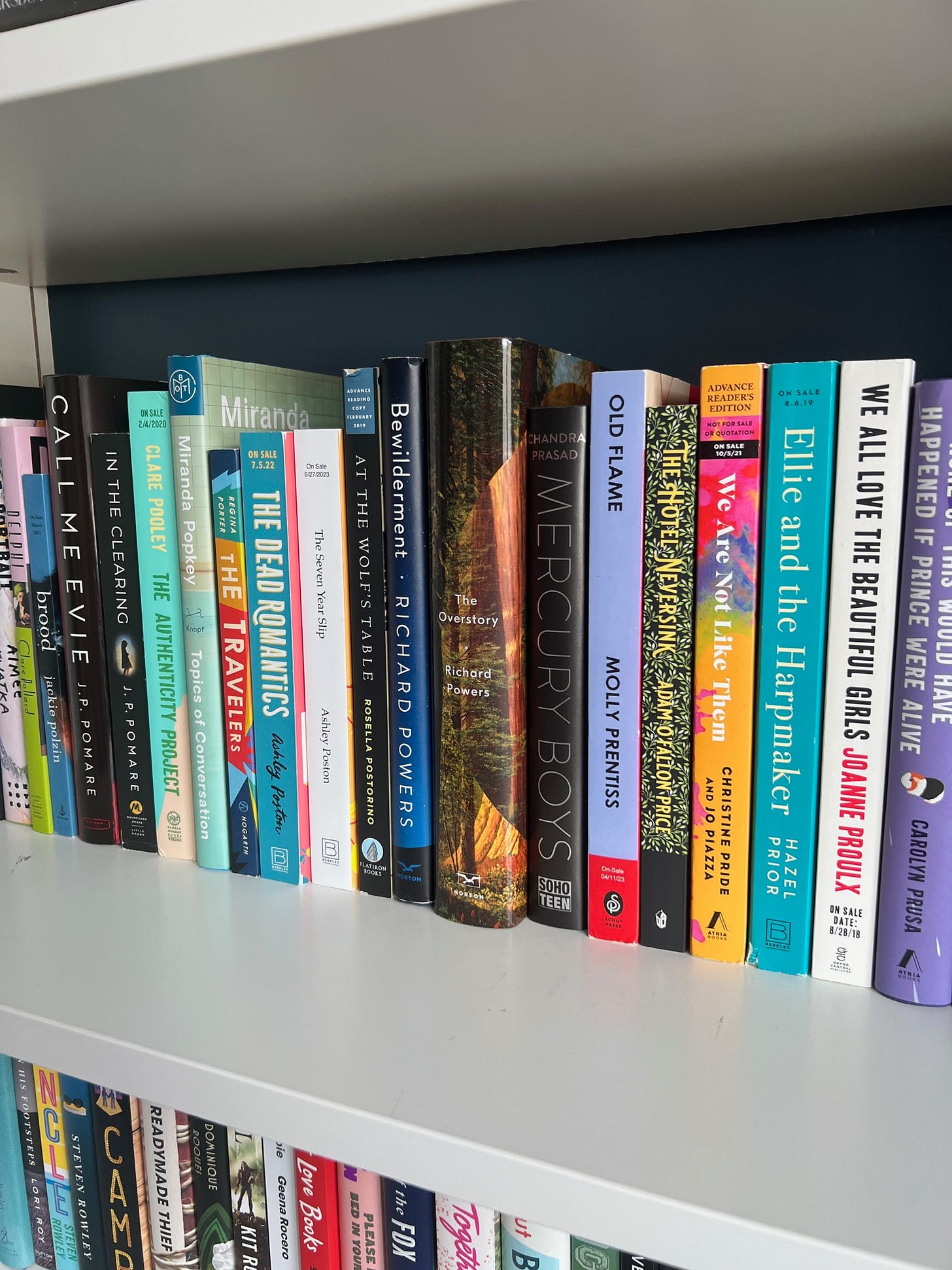 Books on a shelf. Books include The Overstory, Mercury Boys, The Dead Romantics, and The Travelers. Books on a shelf. Books include The Overstory, Mercury Boys, The Dead Romantics, and The Travelers.