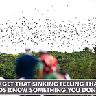 BDCs: THE TIP OF THE SPEAR