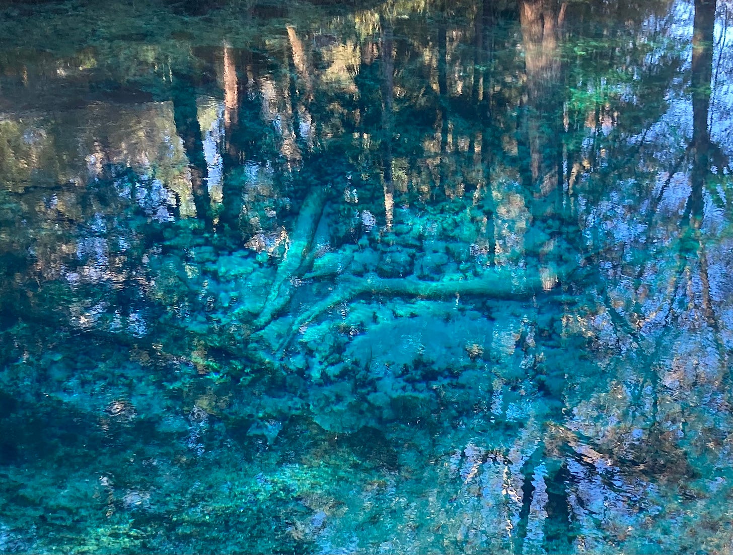 A photo down into a Florida head springs with the reflection of the surrounding trees and sunlight over the surface. Under the surface is is shades of blue and green with long logs criss crossed over rocks with a dark opening below. 