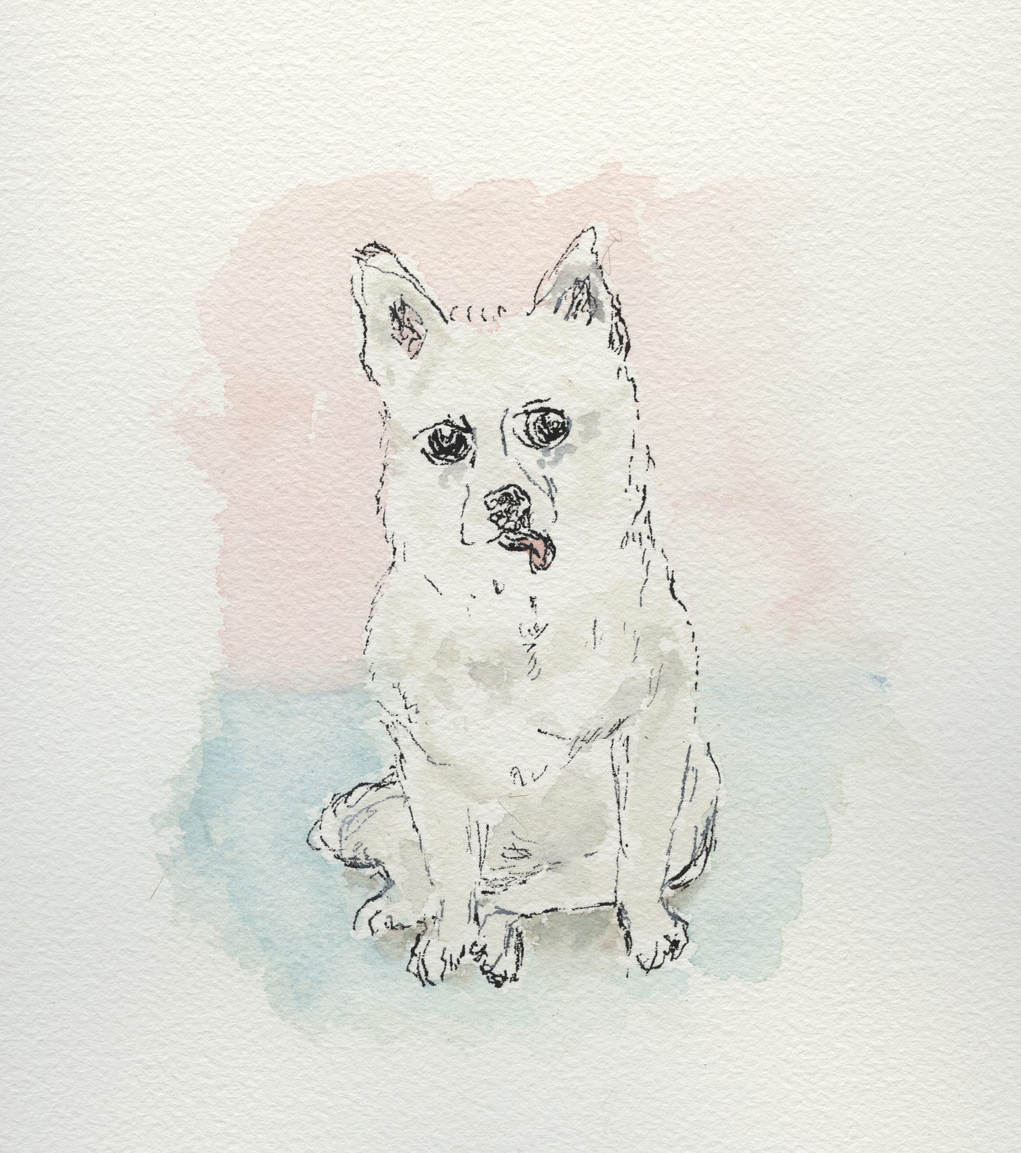 painting of Birdie by Sarah Hauser
