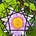 Enneagram Explorations with David W. Fauvre MA