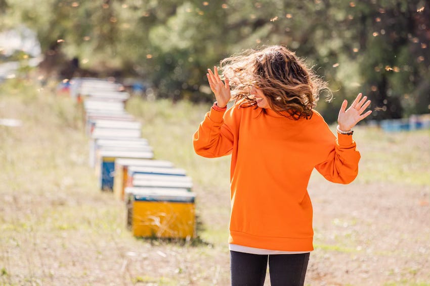 Gérer une colonie d'abeilles agressives