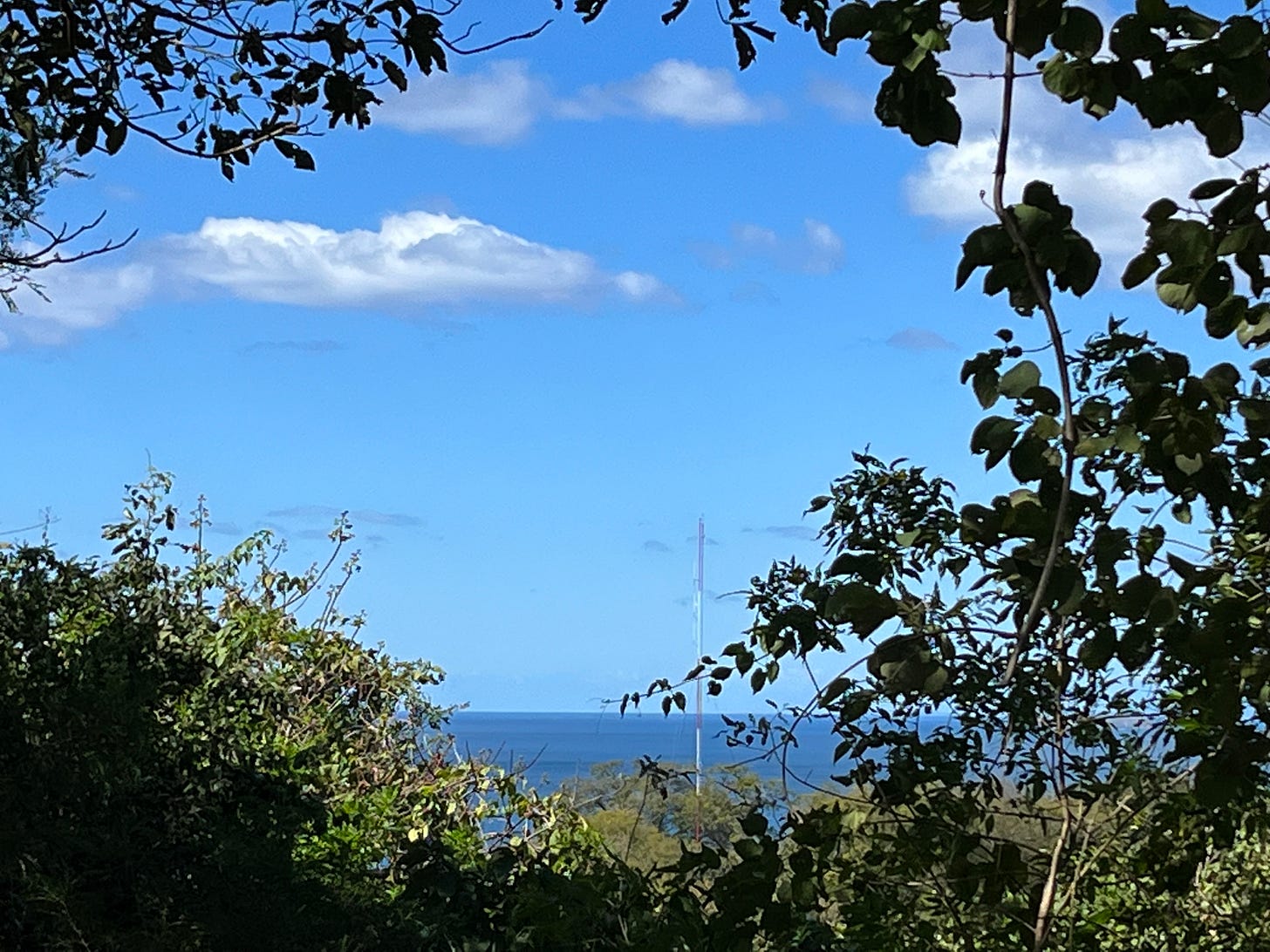 Picture of ocean through bushes in Costa Rica