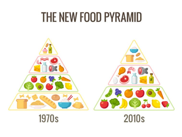 The Old Food Pyramid is Outdated - Natural Wire