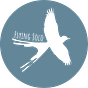 Flying Solo Podcast's avatar