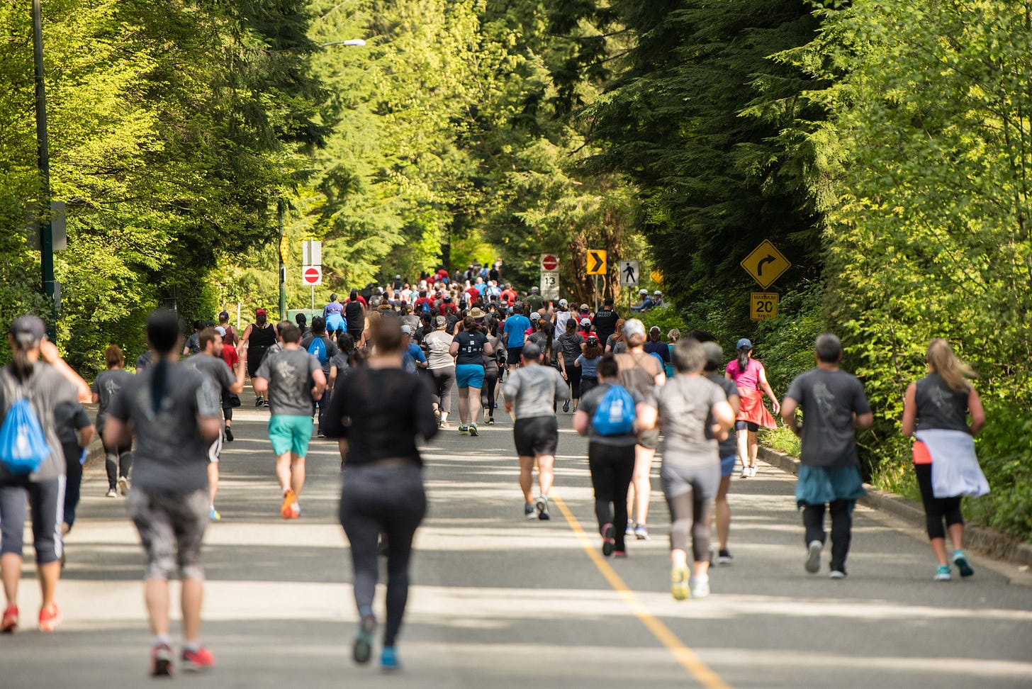 Vancouver BMO runners passing through Stanley Park. 
