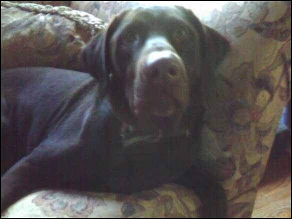 No photo description available.