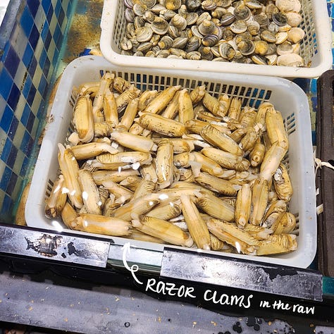 Razor clams, various examples