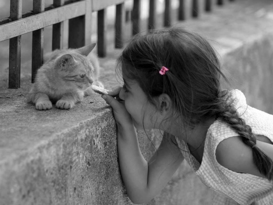 May be a black-and-white image of child and cat