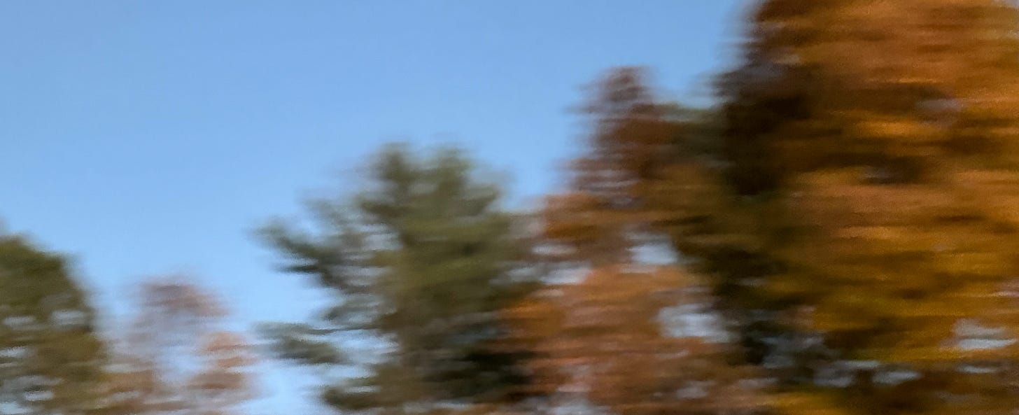 A blurry photo of fall foliage after sunset. A blurry photo of fall foliage after sunset.