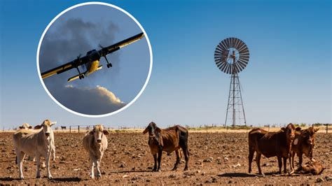Cloud seeding not an option for drought-ravaged Australia | 7NEWS Cloud seeding not an option for drought-ravaged Australia | 7NEWS