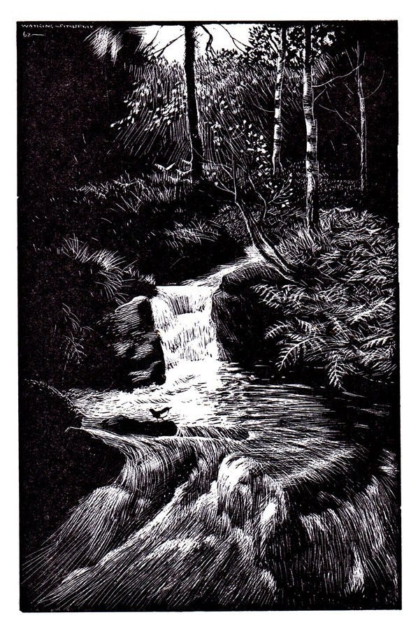 Illustration by Denys Watkins-Pitchford, all bright lines against black shadowy undergrowth, of the bottom of a stream running over rocks. Illustration by Denys Watkins-Pitchford, all bright lines against black shadowy undergrowth, of the bottom of a stream running over rocks.
