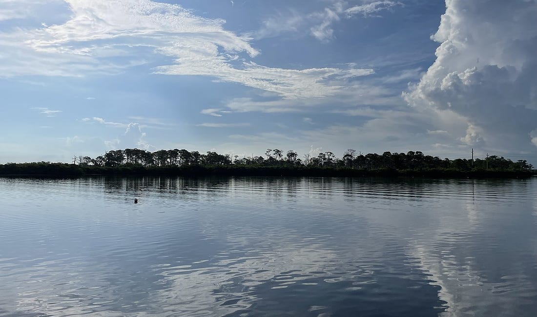 County Preserves Piece of History: Final 13 Acres of Pine Island Sold by Graham Family After 114 Years