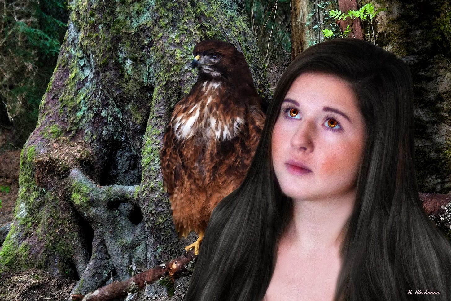 A beautiful young woman with long dark hair and hazel eyes gazes upward in a forest, standing next to a brown hawk perched on a branch in front of a large, gnarled tree trunk. Signed in the lower right corner by E. Eleebanna.