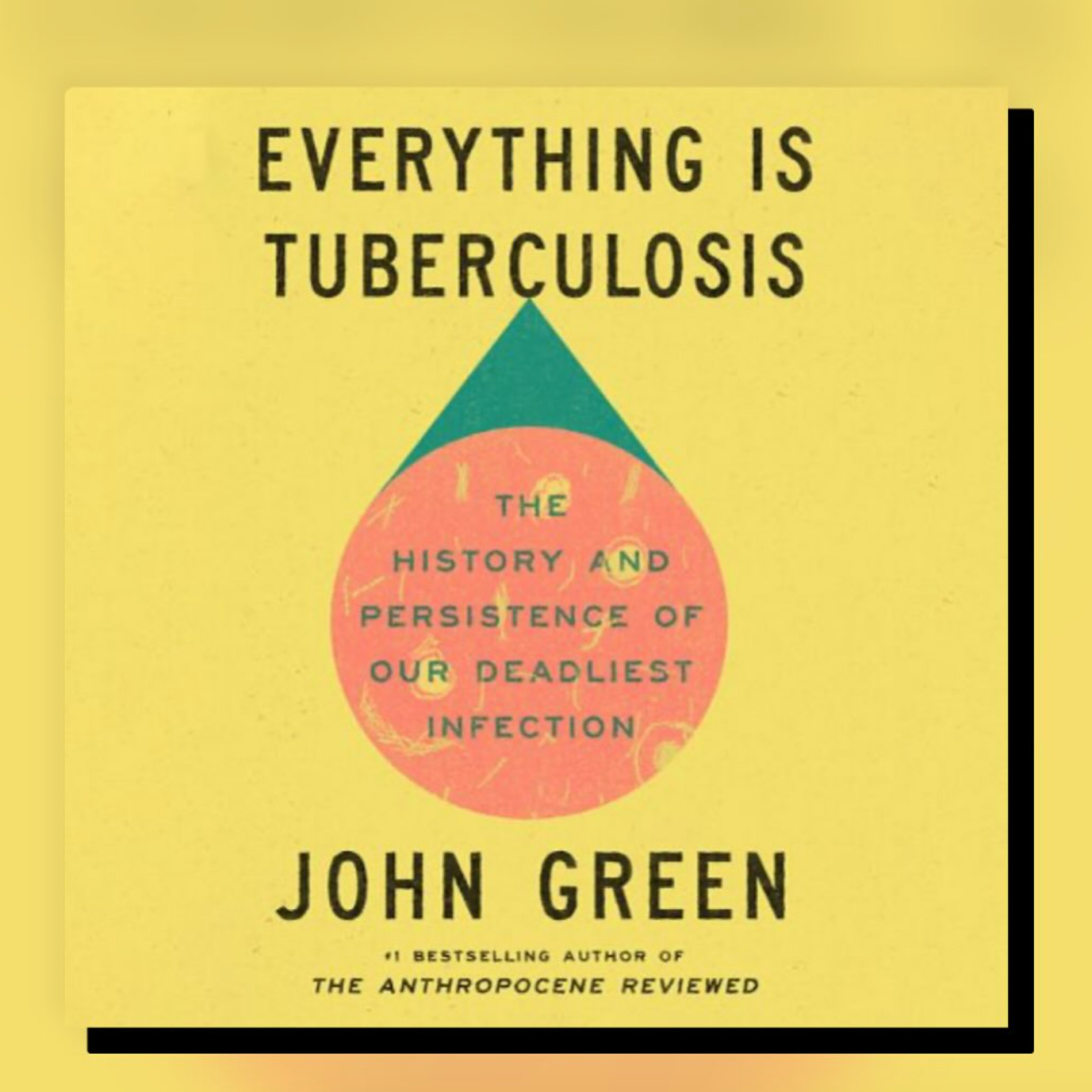 The cover of Everything is Tuberculosis
