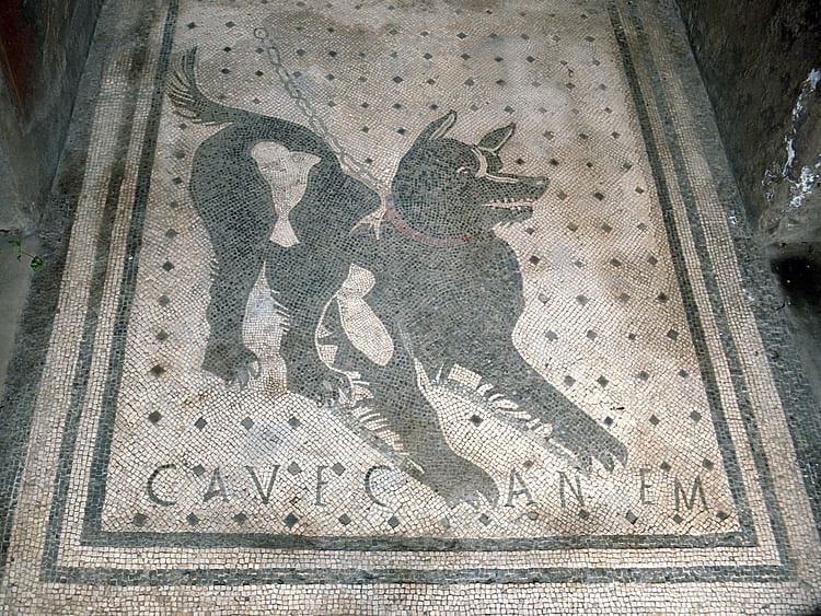 Cave Canem, Dog Mosaic Cave Canem, Dog Mosaic