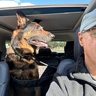 Is The Dog About To Be Wagged?