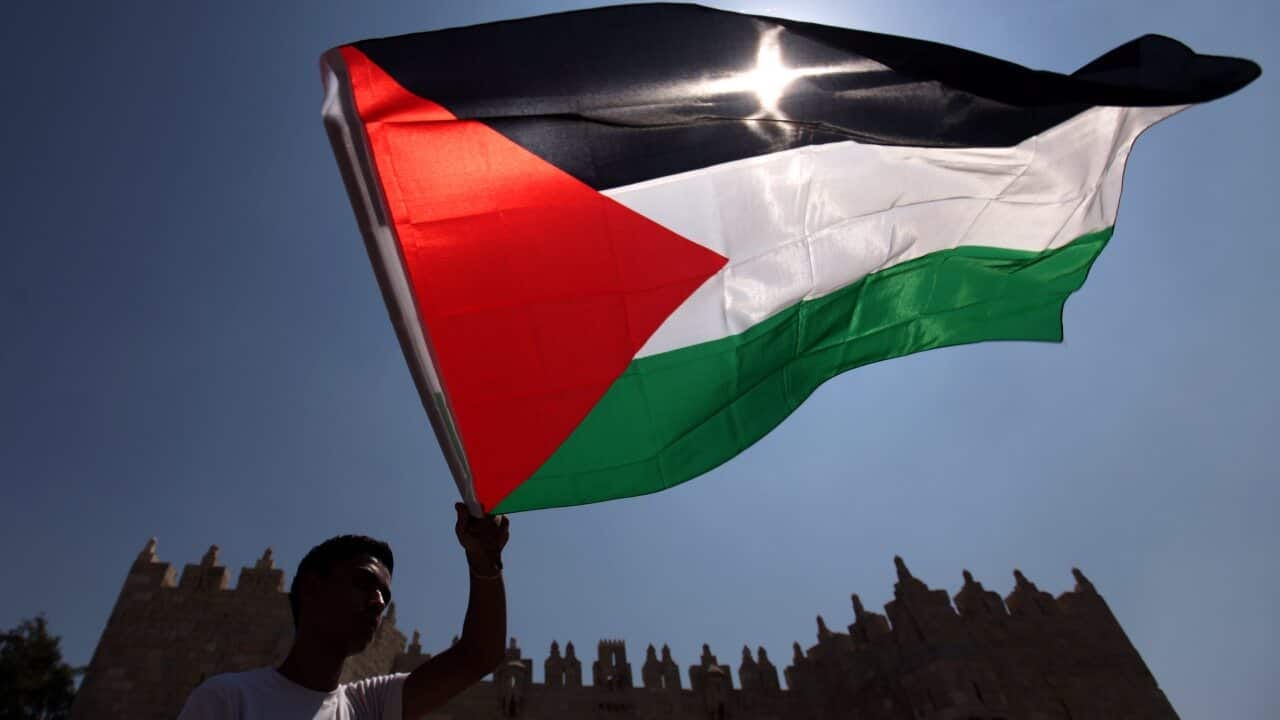 Which countries recognise a Palestinian state? | SBS News