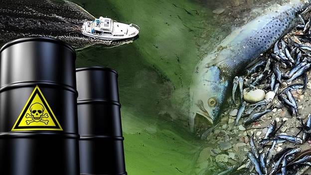 Oil barrels and a fish

Description automatically generated