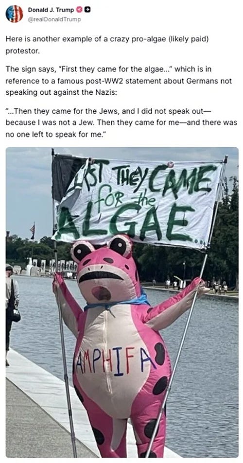 Screenshot of June 23 Truth Social post by Donald Trump: 'Here is another example of a crazy pro-algae (likely paid) protestor. The sign says, "First they came for the algae..? which is in reference to a famous post-WW2 statement about Germans not speaking out against the Nazis: ...Then they came for the Jews, and I did not speak out—because I was not a Jew. Then they came for me—and there was no one left to speak for me.' Screenshot of June 23 Truth Social post by Donald Trump: 'Here is another example of a crazy pro-algae (likely paid) protestor. The sign says, "First they came for the algae..? which is in reference to a famous post-WW2 statement about Germans not speaking out against the Nazis: ...Then they came for the Jews, and I did not speak out—because I was not a Jew. Then they came for me—and there was no one left to speak for me.'