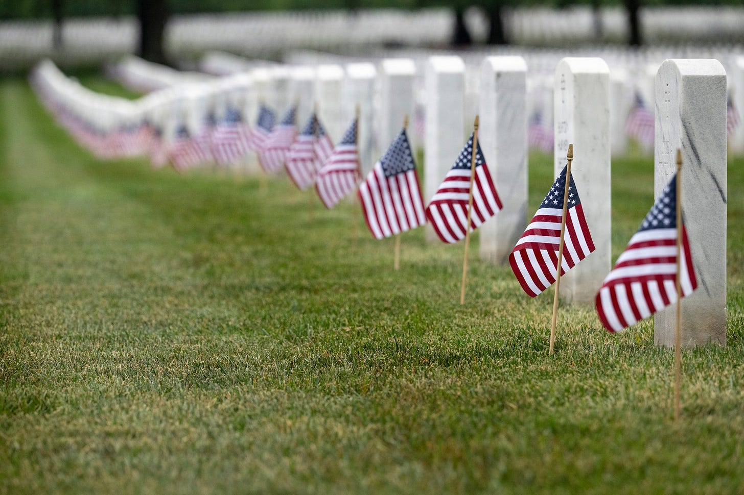 A close-up, low-angle view of rows of small American flags placed in the green grass before white marble headstones. The line of headstones and flags curves away into the soft-focused background. This was part of Flags In, where nearly 1,500 soldiers placed approximately 250,000 U.S. flags at every headstone and along every Columbarium Court and Niche Wall row at Arlington National Cemetery, Arlington, Virginia, Thursday, May 21, 2026. A close-up, low-angle view of rows of small American flags placed in the green grass before white marble headstones. The line of headstones and flags curves away into the soft-focused background. This was part of Flags In, where nearly 1,500 soldiers placed approximately 250,000 U.S. flags at every headstone and along every Columbarium Court and Niche Wall row at Arlington National Cemetery, Arlington, Virginia, Thursday, May 21, 2026.