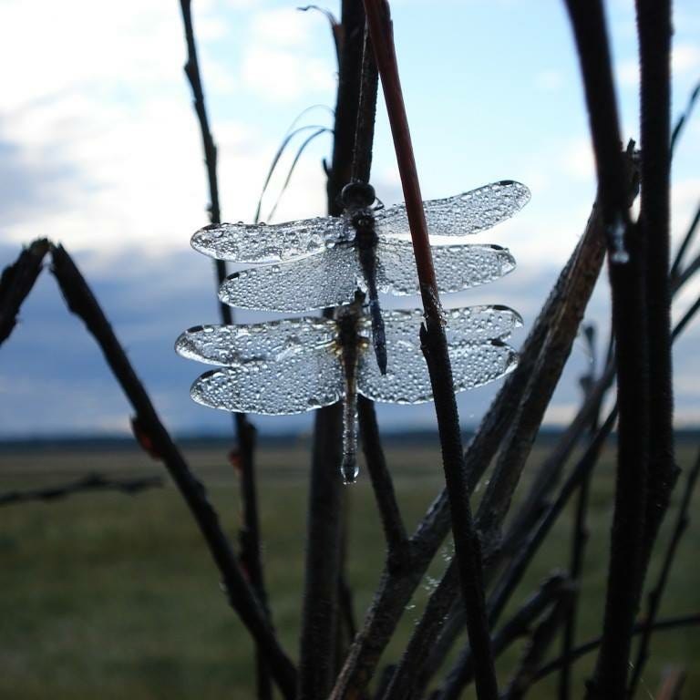 That Time in the Rain