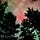 Tales from the Shed
