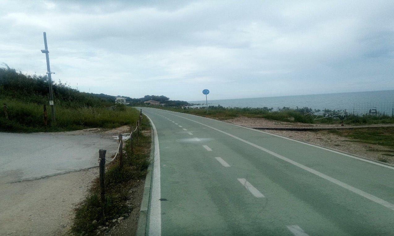 Artwork for TrignoWriter’s Newsletter