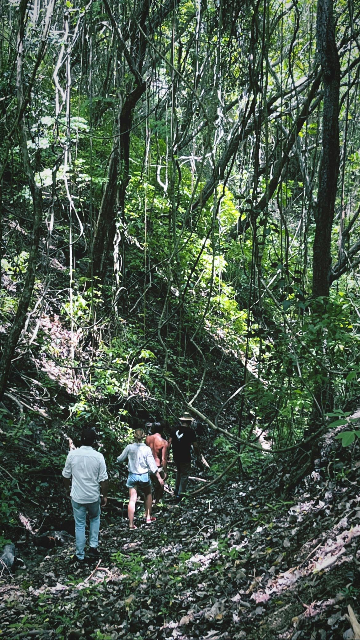 036: Redesign your Ecosystem, Redesign your Life. 036: Redesign your Ecosystem, Redesign your Life.