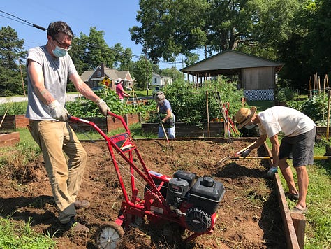 Scenes from creating the garden
