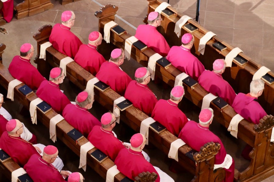 Abuse report, school guidelines: The German bishops’ busy week