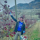 How a Young, Gay, Zionist, Iraqi-Türkish Jewish Seattle Chef Seeks Change Through 'Food Diplomacy'