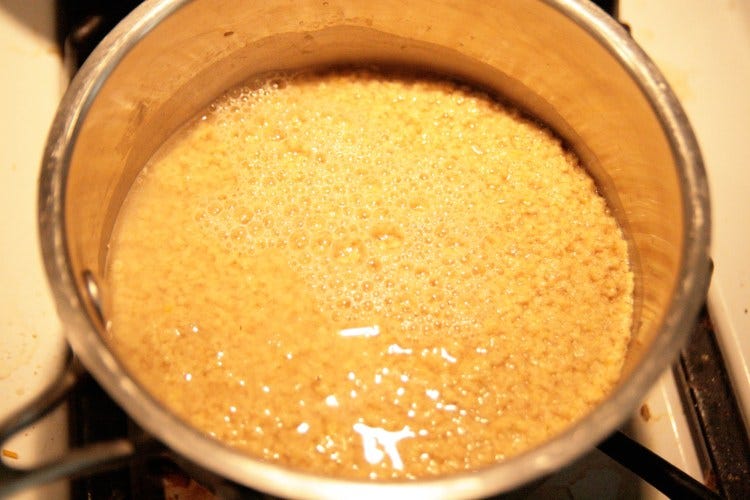 Kitty Litter Cornbread Polenta Water Kitty Litter Cornbread Polenta Water