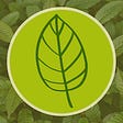 Kratom Real Talk's avatar