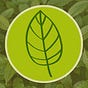Kratom Real Talk's avatar