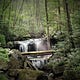 A Voice in the Wilderness