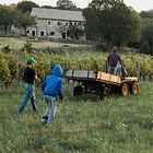 Why Responsibility Is So Hard to Teach Now