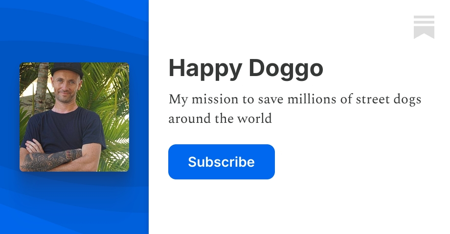 Happy Doggo | Niall Harbison | Substack
