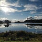 Reflections-Claire Milne's avatar