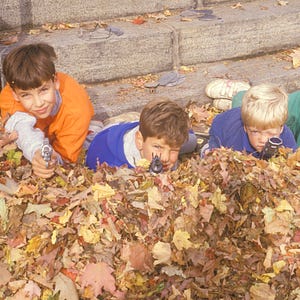 David Sedaris: Punching Down