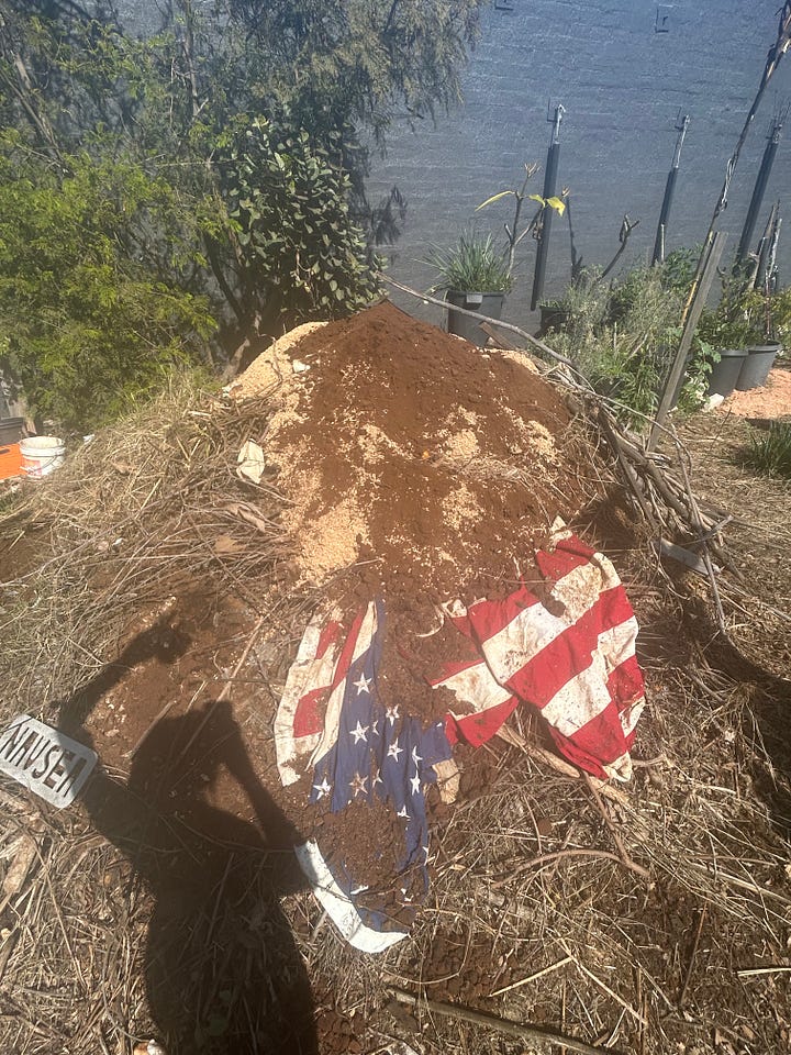 Two different compost piles