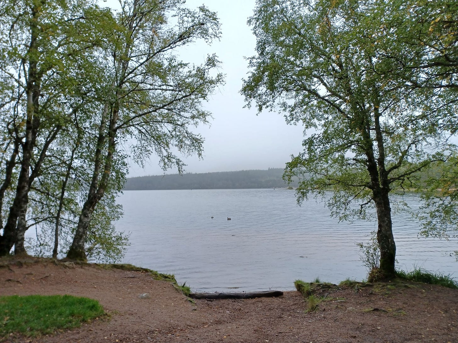 Cairngorms National Park: A Selection of Walks