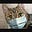 Christina Cat's avatar