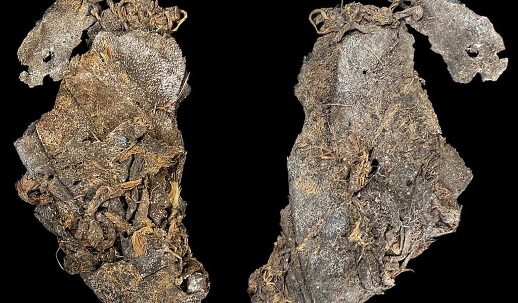 The Oldest Sewn Hide in the World Came from an Oregon Cave